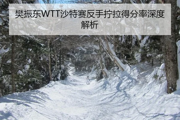 fan-zhen-dong-sha-te-sai-fan-shou-ning-la-de-fen-lv-shen-du-jie-xi-3-933.jpg