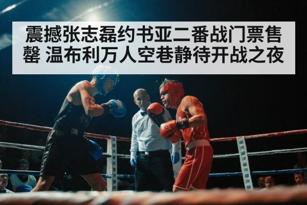 震撼张志磊约书亚二番战门票售罄 温布利万人空巷静待开战之夜